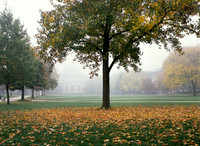 University of Illinois