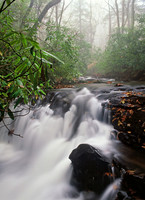 Rhodie River