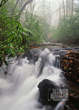 Rhodie River